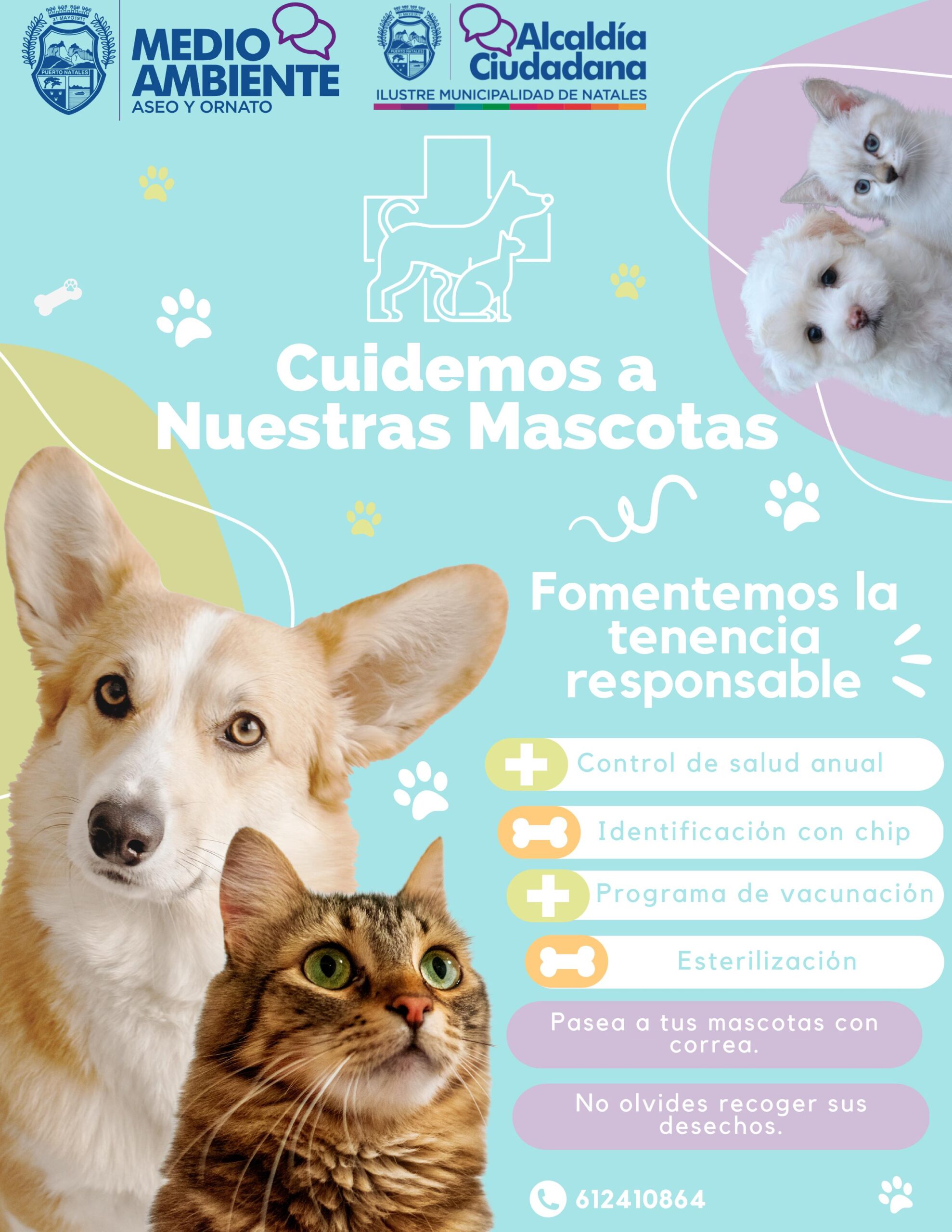 Infografia Tenencia Responsable de Mascotas 2023 Nataleslandia