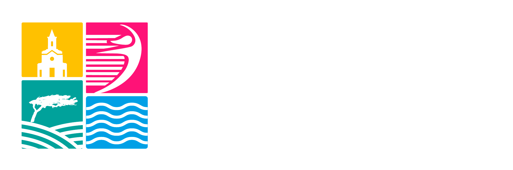 Municipio Ciudadano